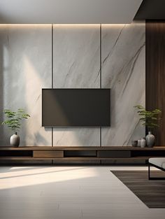 a modern living room with marble wall and tv on the wall, potted plants in front of it