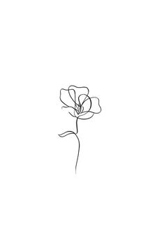 a single line drawing of a flower on a white background