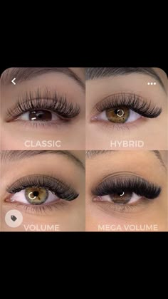 Types Of Eyelash Extensions, Eyelash Extensions Classic, Natural Fake Eyelashes, Lashes Fake Eyelashes, Eyelash Tips, Eyelash Extensions Styles, Lash Extensions Styles, Perfect Eyelashes