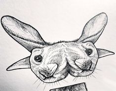 a black and white drawing of a rabbit