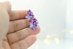 small purple flowers are being held in someone's hand