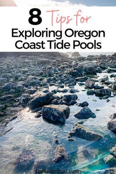 the ocean and rocks with text overlay that says 8 tips for exploring oregon coast tide pools