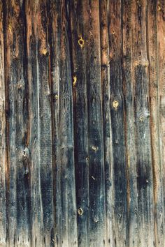 an animal standing in front of a wooden fence