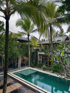 an outdoor swimming pool surrounded by palm trees and lounge chairs in front of the house