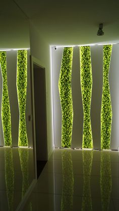 an open door with some green plants on the wall and lights in front of it