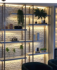 a living room filled with lots of shelves covered in plants