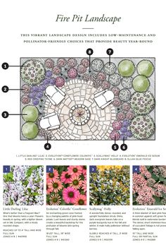 the different types of flowers are shown in this page, including pink and green plants