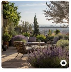 an outdoor seating area with lots of plants