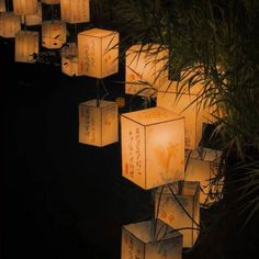 many lanterns are lit up in the dark