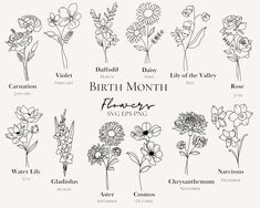 the birth month flowers and their meanings