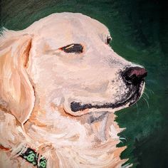 an oil painting of a dog's face on a green background with white fur