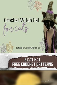 a black and white cat wearing a crochet witch hat with text that reads, 3 cat hat free crochet patterns