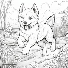 Coloring page of a Husky puppy dog running through a field. Husky Puppies Drawing, Husky Coloring Page, Puppy Drawing Sketches, Dog Colouring Pages, Dinosaurs Drawings, Dog Pictures To Color, Husky Drawing, Husky Colors