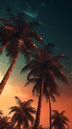 palm trees in the night sky with stars