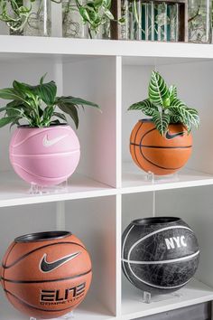 four different colored basketballs are on display in a white bookcase with green plants