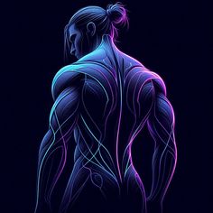 an illustration of a man's torso and muscles