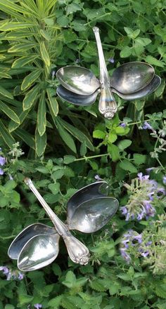 three spoons are placed in the middle of some plants