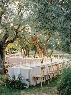 an outdoor dinner table set up under the trees