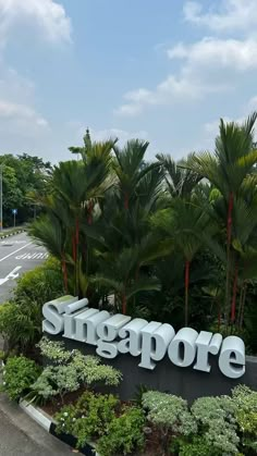 the sign for singapore is surrounded by palm trees and greenery on either side of the road