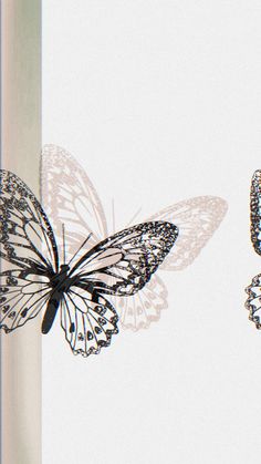 two butterflies flying next to each other on a window sill in front of a white wall