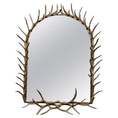 a mirror that has antlers on it