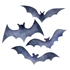 three bats are flying in the sky