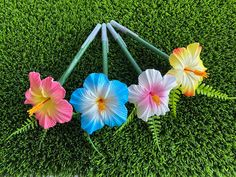 four colorful flowers laying on top of green grass