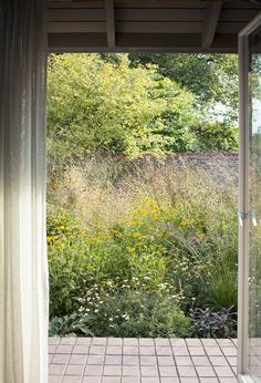 an open door leading to a lush green field with flowers and trees in the background