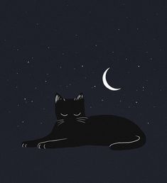 a cat that is laying down on the ground in the night sky with a half moon behind it