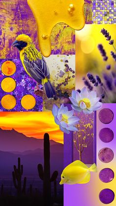 a collage with yellow and purple colors