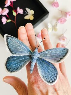 a hand holding a small blue butterfly on it's finger