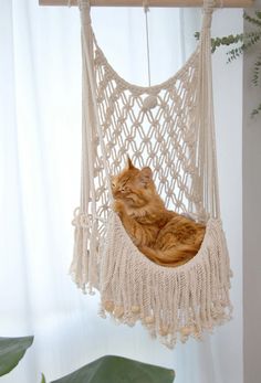 an orange cat laying in a macrame hammock