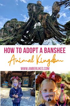 how to adopt a banshee animal kingdom at disney world with pictures and text overlay