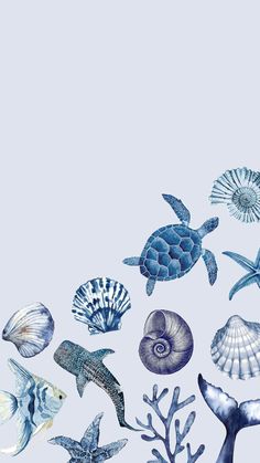 an ocean scene with sea animals and seashells