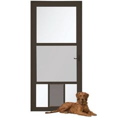 a brown dog laying in front of a door with glass panels on it's side