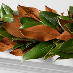 some green leaves are hanging on a white fireplace mantel with a fire place in the background