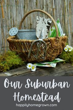 a basket filled with gardening supplies sitting on top of a wooden table