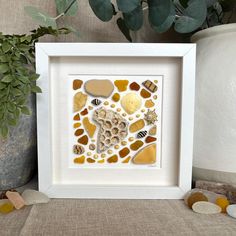 a white frame with sea glass and shells in it next to a potted plant