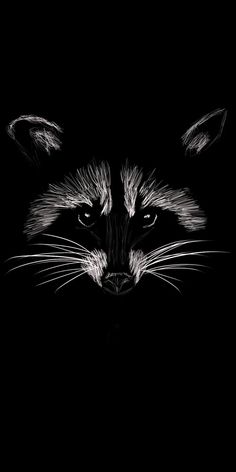 a black and white photo of a raccoon's face in the dark