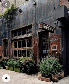 an old building with plants growing out of it