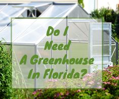 a greenhouse with the words do i need a greenhouse in florida?