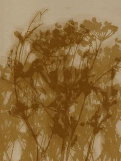 an abstract painting of flowers and leaves on a white background with brown highlights in the foreground