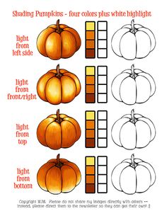 the steps to drawing pumpkins for halloween