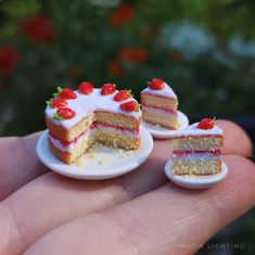 two small pieces of cake are being held by someone's hand in front of them