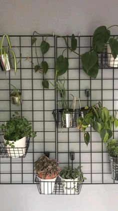 a wall mounted planter filled with potted plants on top of a metal grid