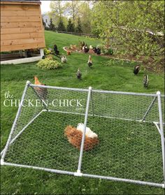 chickens in a chicken coop on the grass