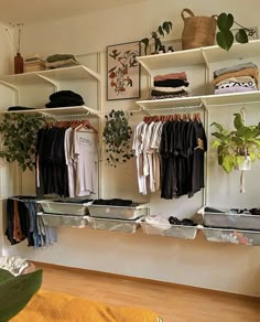 an organized closet with clothes hanging on the wall and plants in pots next to it