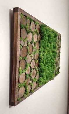 a piece of wood with moss growing on it is mounted to the wall in front of a white wall