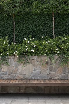 a wooden bench sitting in front of a stone wall with white flowers growing on it