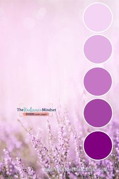 the color palette is purple and has five different shades to choose from, including lavender